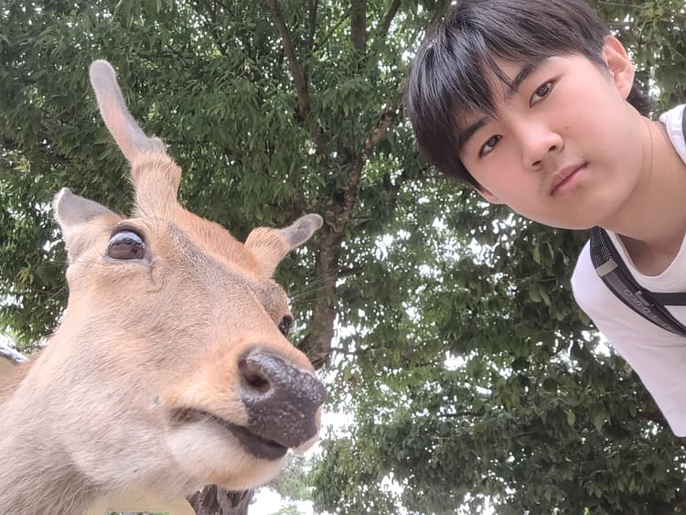 animals are so cool and I love hanging out with them, they are docile beings that match your vibe